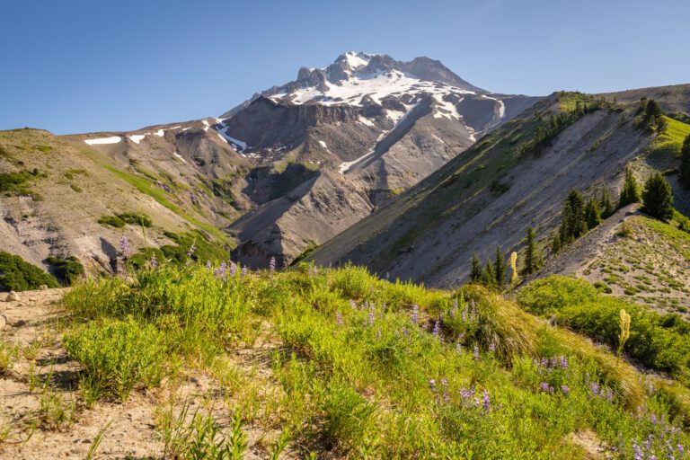 10 Spectacular Hikes near Mount Hood: A Helpful Guide