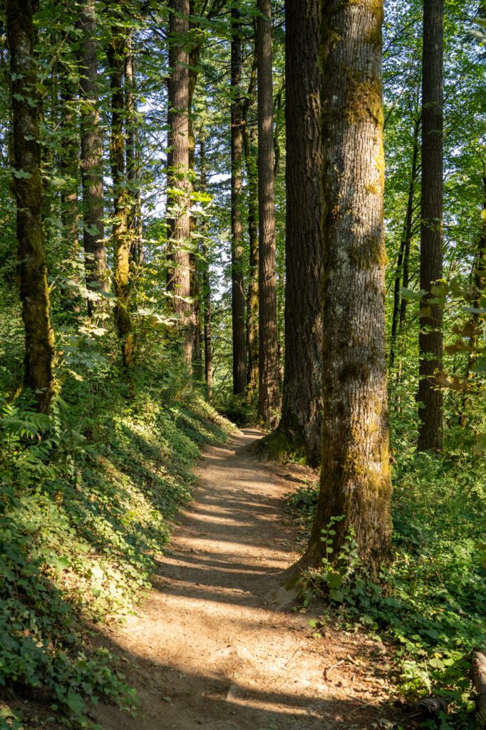 The 4T Trail: Portland’s Most Unique Urban Hike