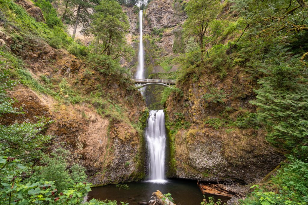 14 Best Hikes for Kids in the Columbia River Gorge - Mommy Travels