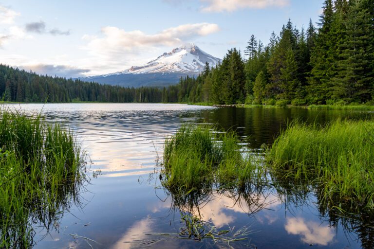 The Best Day Trips from Portland, Oregon (A Local’s Guide)