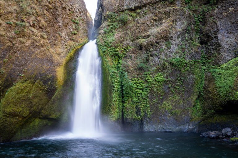 Hiking the Stunning Wahclella Falls Trail: What to Expect
