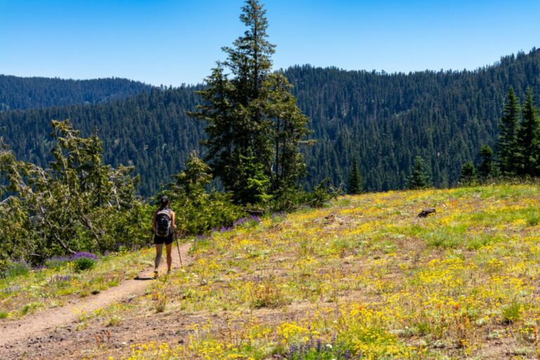 The 17 Best Oregon Hikes: A Complete Oregon Hiking Guide