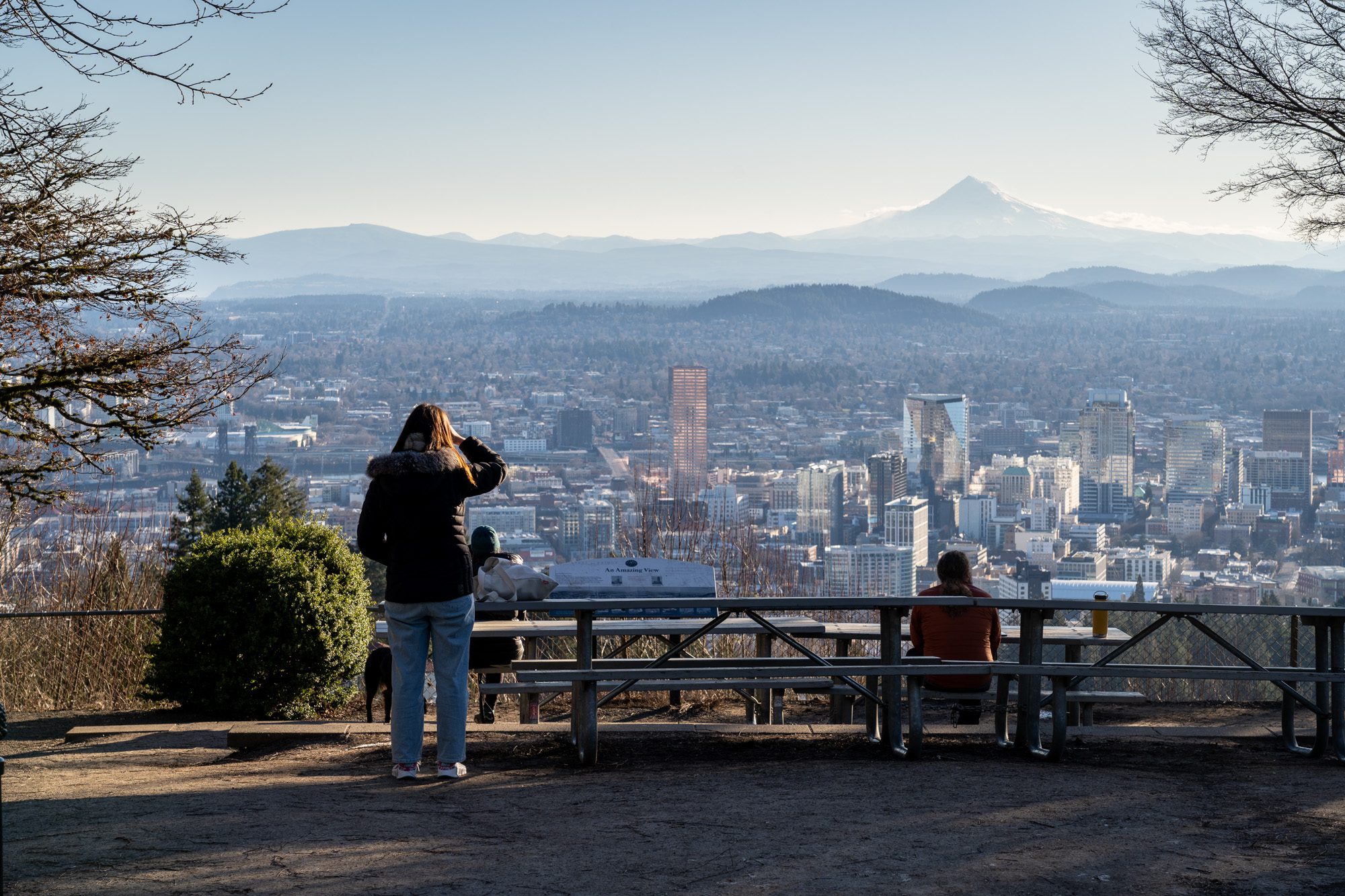 The Hike to Pittock Mansion A Complete Trail Guide (2024)