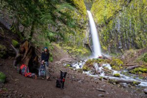 Dry Creek Falls via the PCT: A Complete Trail Guide