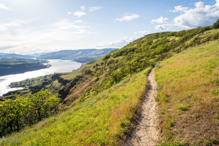 15 Spectacular Columbia River Gorge Hikes for All Levels