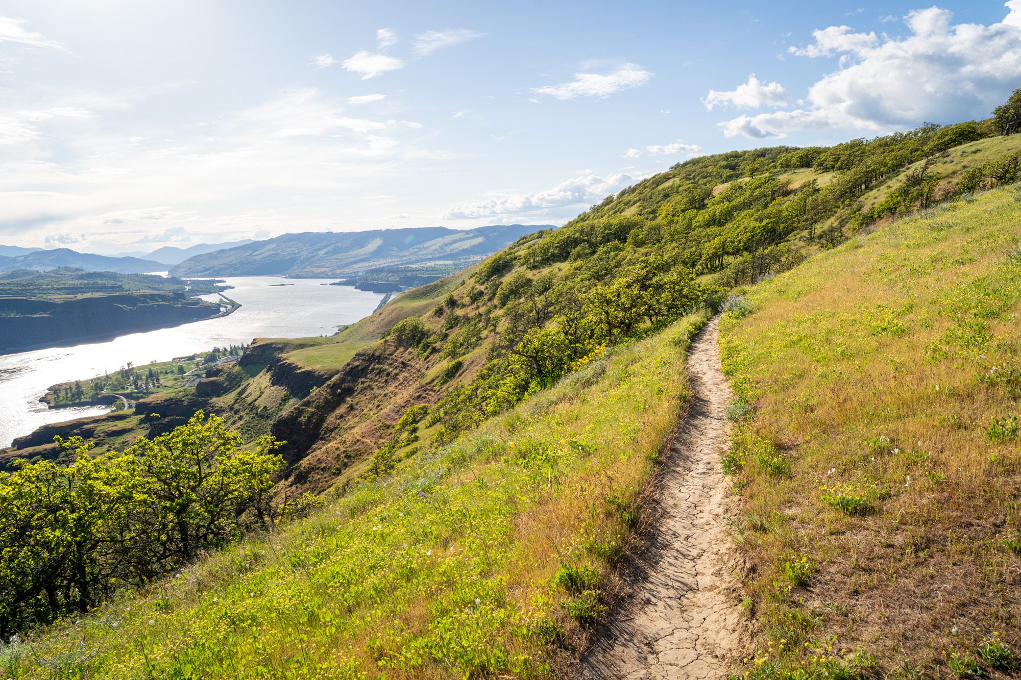 16 Spectacular Columbia River Gorge Hikes for All Levels