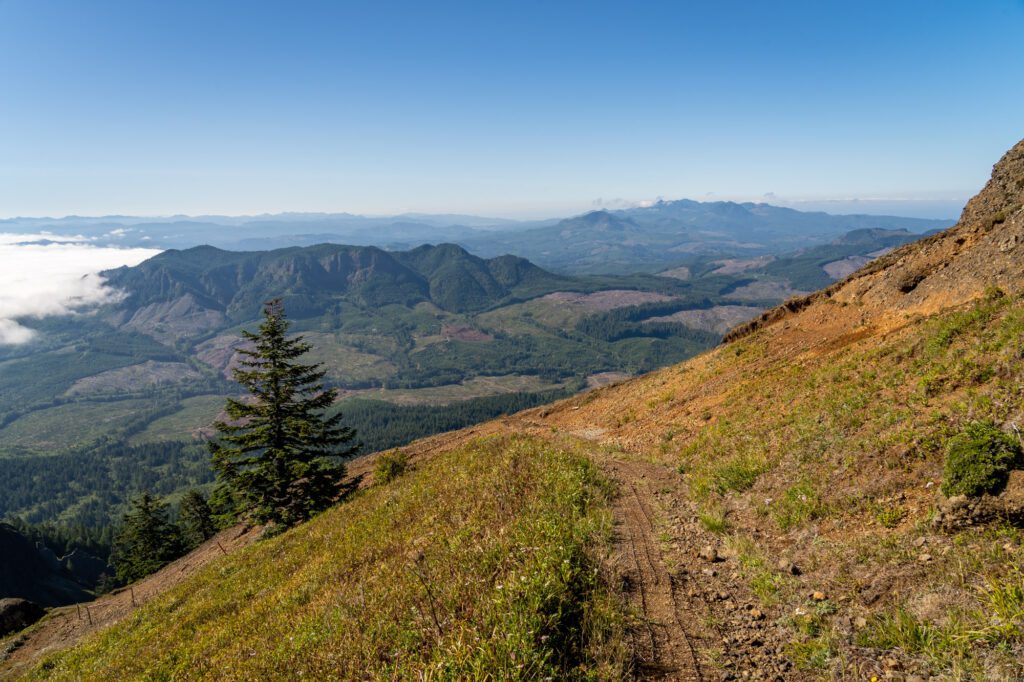 Hiking near Portland, OR: A Complete Guide for First Timers