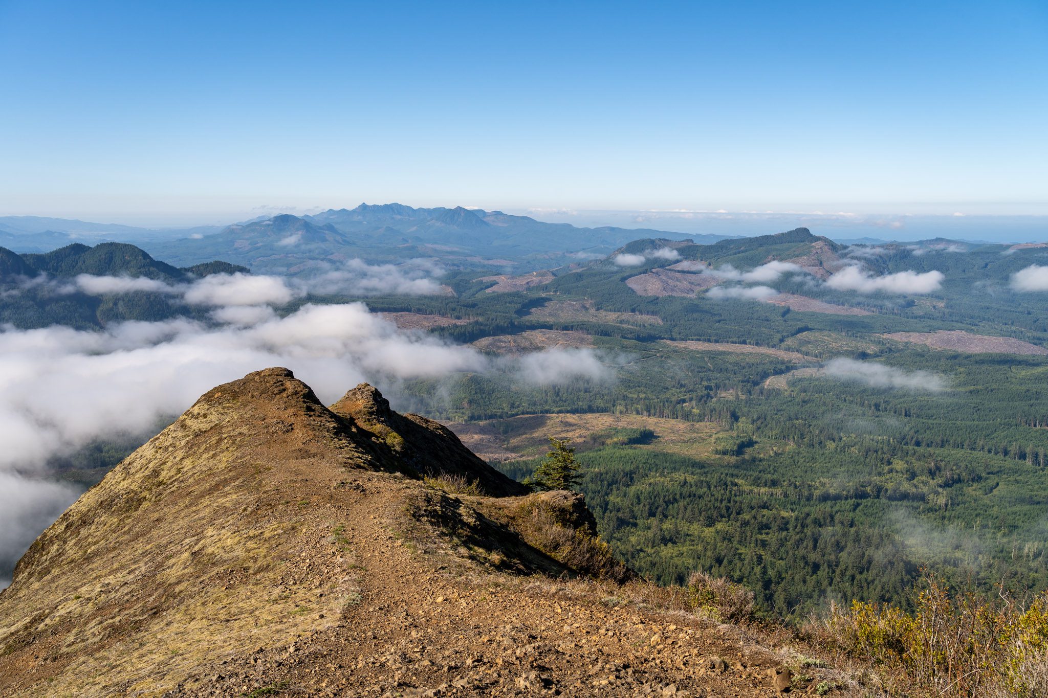 The Incredible Saddle Mountain Trail: Complete Trail Guide